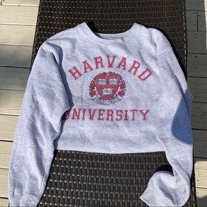 Grey Harvard University Pacsun Sweatshirt